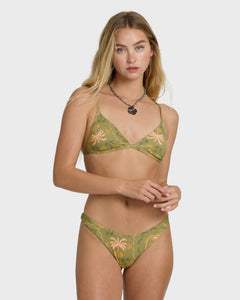 CEDAR