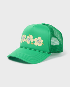 FIELD GREEN