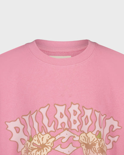 Pink sweatshirt with 'Billabong' logo and floral designs on a light gray background