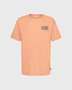 Faded Orange